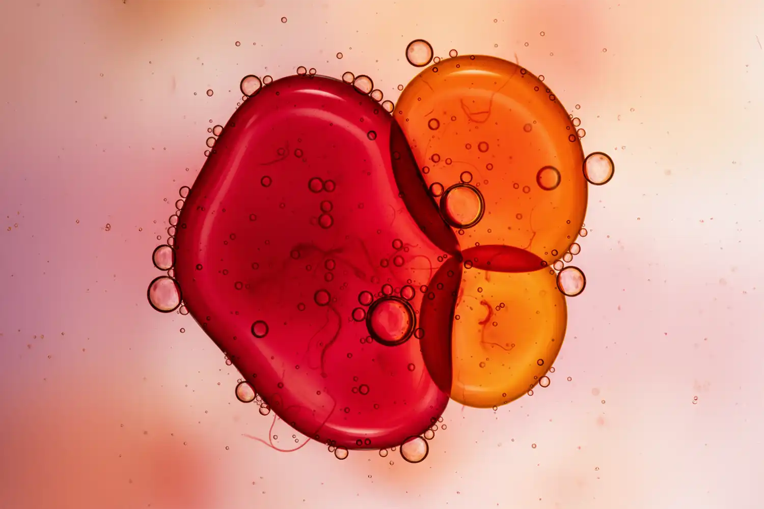 Macro rouge intense de bulles liquides évoquant l’extrait de piment Capsicum, actif repulpant et chauffant naturel.