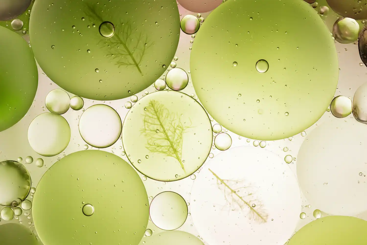 Texture nacrée blanche avec reflets, représentant le collagène végétal, actif anti-rides et raffermissant.