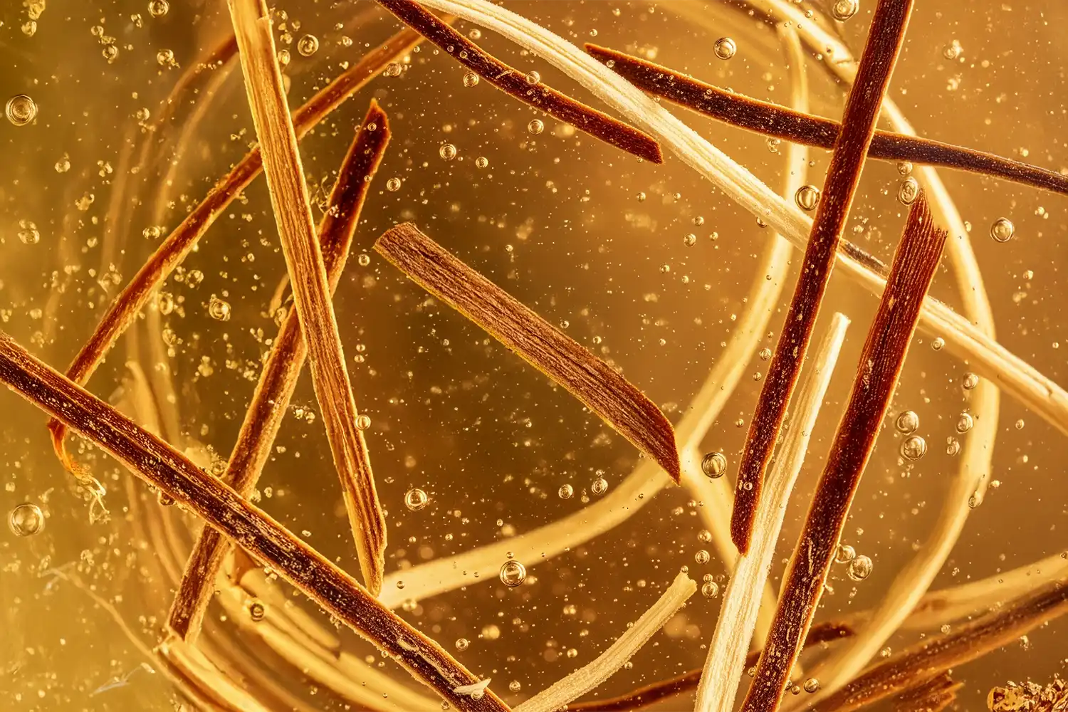 Morceaux d’écorce végétale brune dans un liquide translucide, évoquant l’extrait de saule, source naturelle d’acide salicylique.