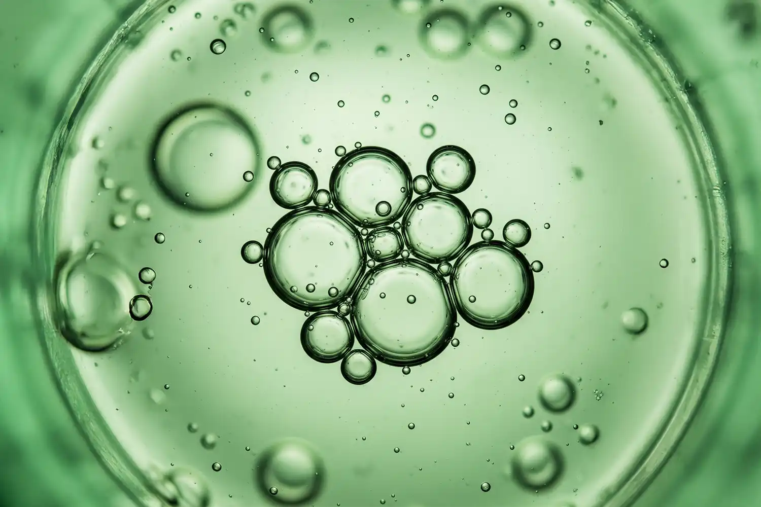 Gouttes d’huile dorée claire en macro liquide, évoquant le squalane végétal, lipide nourrissant issu de l’olive.